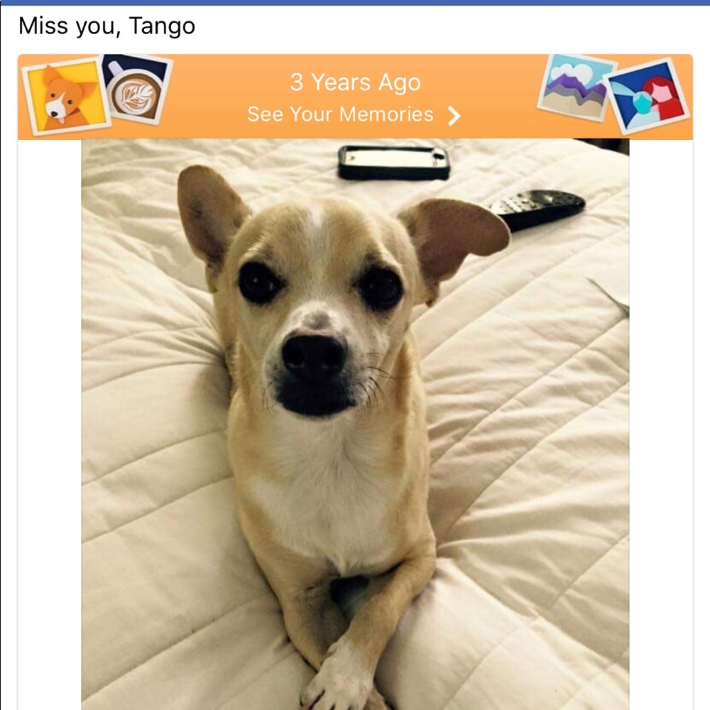 Meet your Posher, Rosie